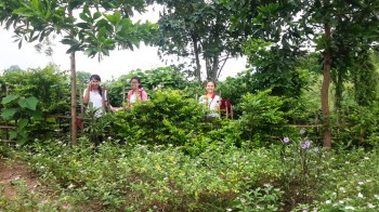 Hành trình đến với vùng lũ Quảng Trị