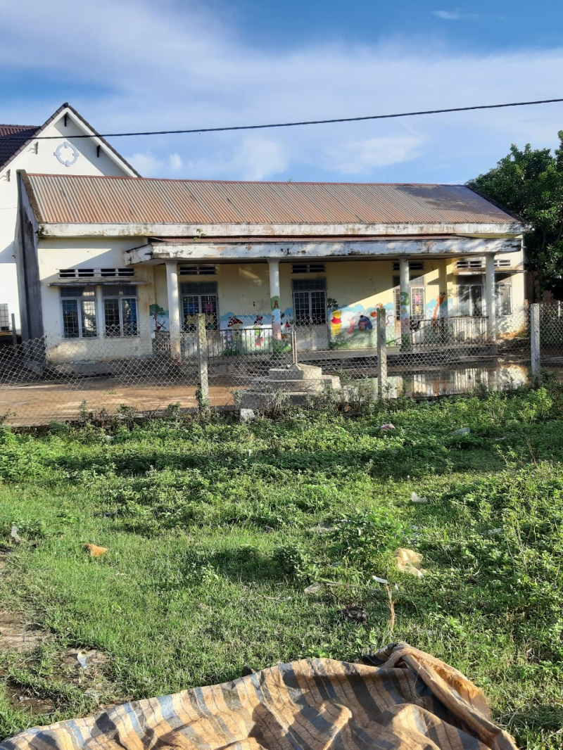 NHỮNG MÁI TRƯỜNG THƯƠNG YÊU