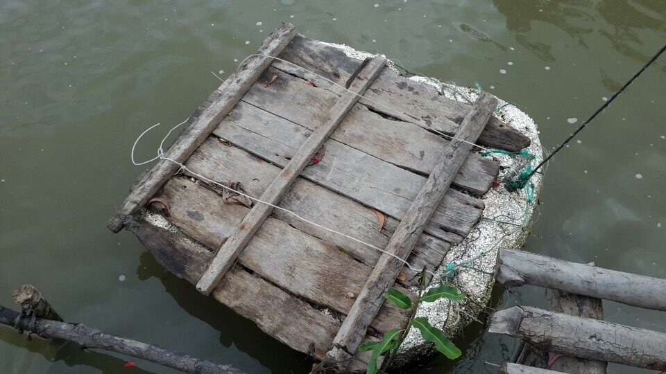 NHỊP CẦU KẾT NỐI YÊU THƯƠNG