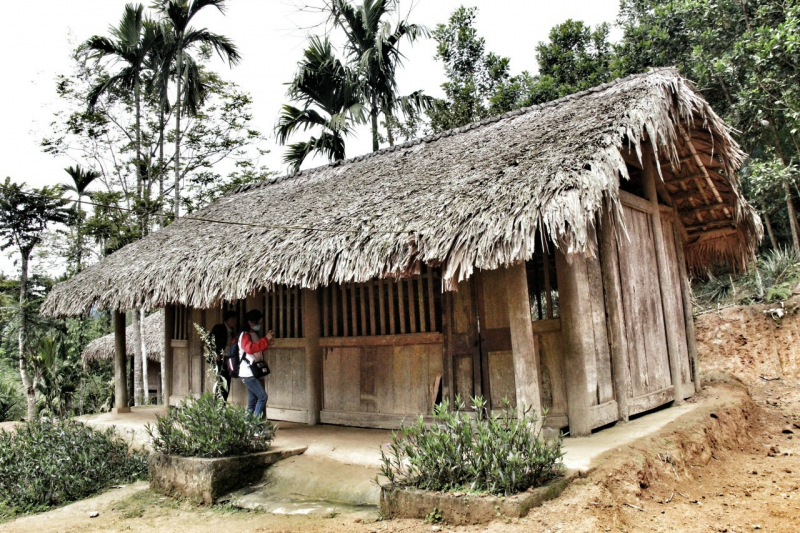 NHỮNG MÁI TRƯỜNG THƯƠNG YÊU