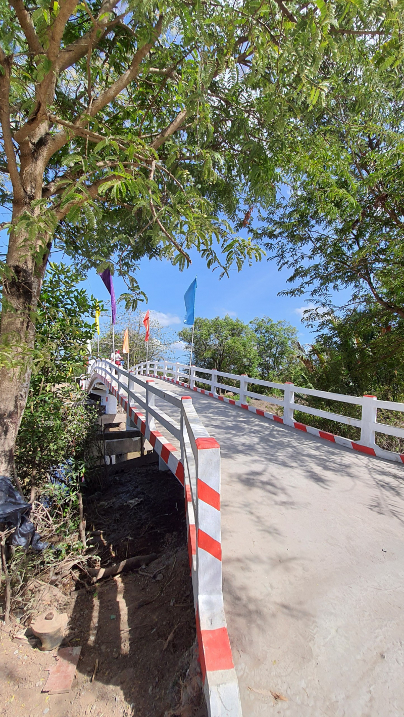 KHÁNH THÀNH 5 CÂY CẦU - NHỊP CẦU CHUNG MỘT ƯỚC MƠ