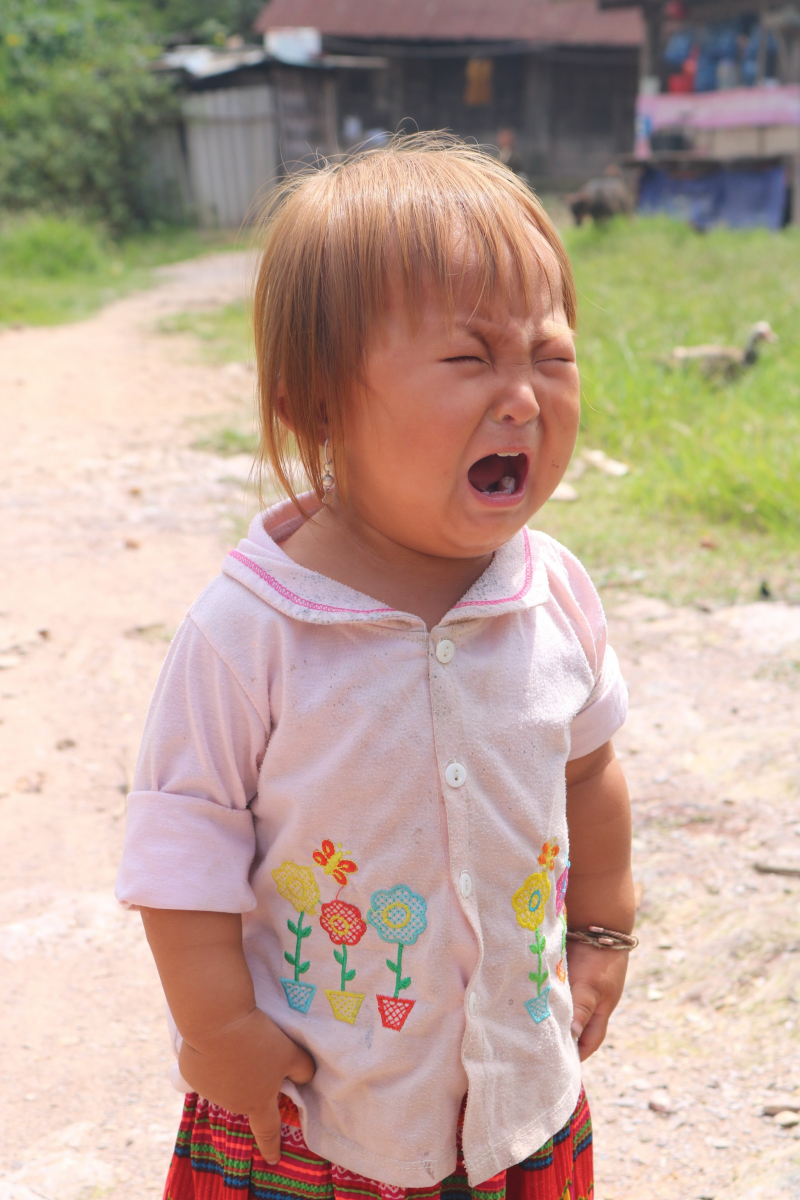 THƯ GỬI CÁC CÔ BÉ, CẬU BÉ KỲ SƠN