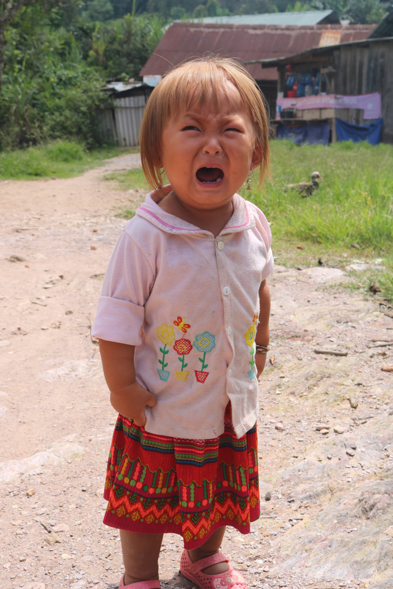 THƯ GỬI CÁC CÔ BÉ, CẬU BÉ KỲ SƠN