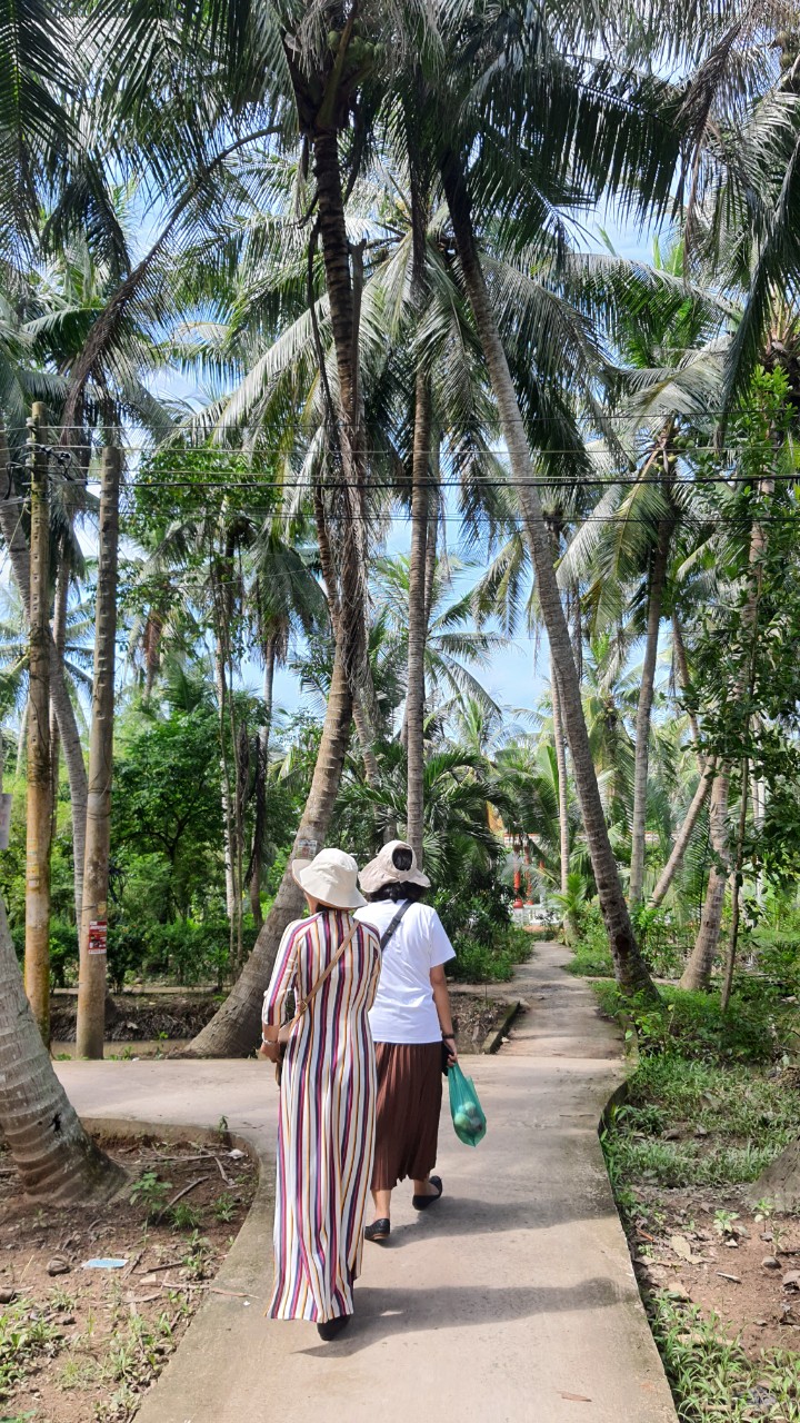 KHÁNH THÀNH CẦU ÔNG RÍP - XÃ ĐỊNH THỦY, HUYỆN MỎ CÀY NAM, TỈNH BẾN TRE