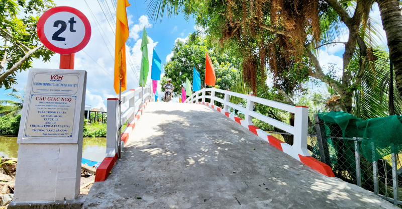 NGÀY VỀ CỦA CÔ GÁI VANCE LEE
