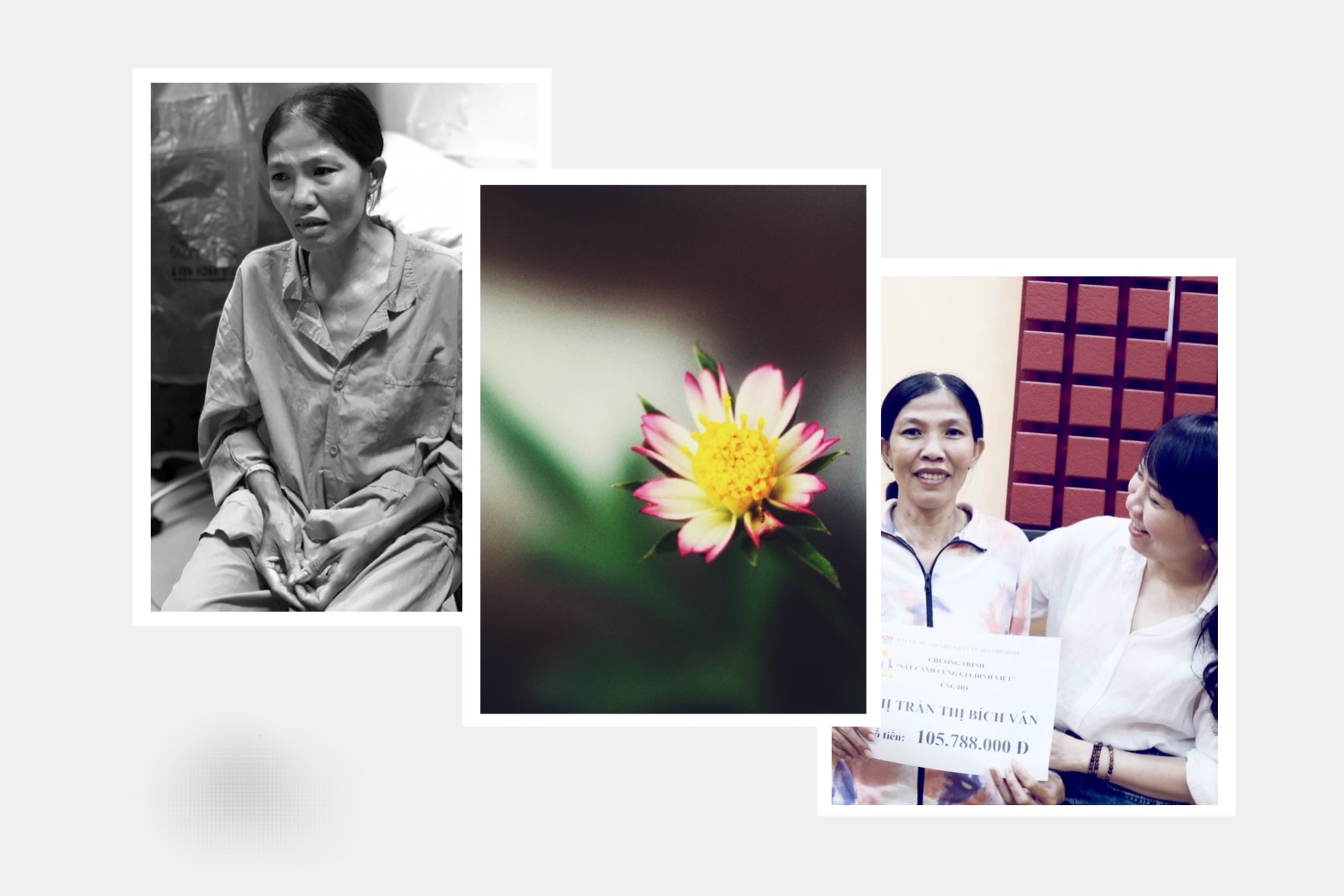 Radio Kỳ 518: MẸ SẼ SỐNG TIẾP THAY CON GÁI